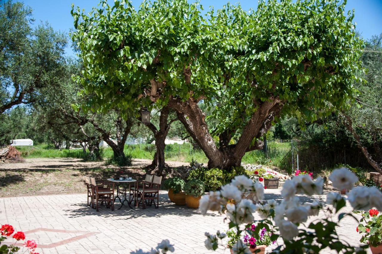 Paradise Vezal Laganas Exterior photo